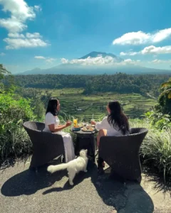 Digital Marketing Agency Bali Family Business Digital Marketing Mahagiri Rendang Reaktan Asia Digital