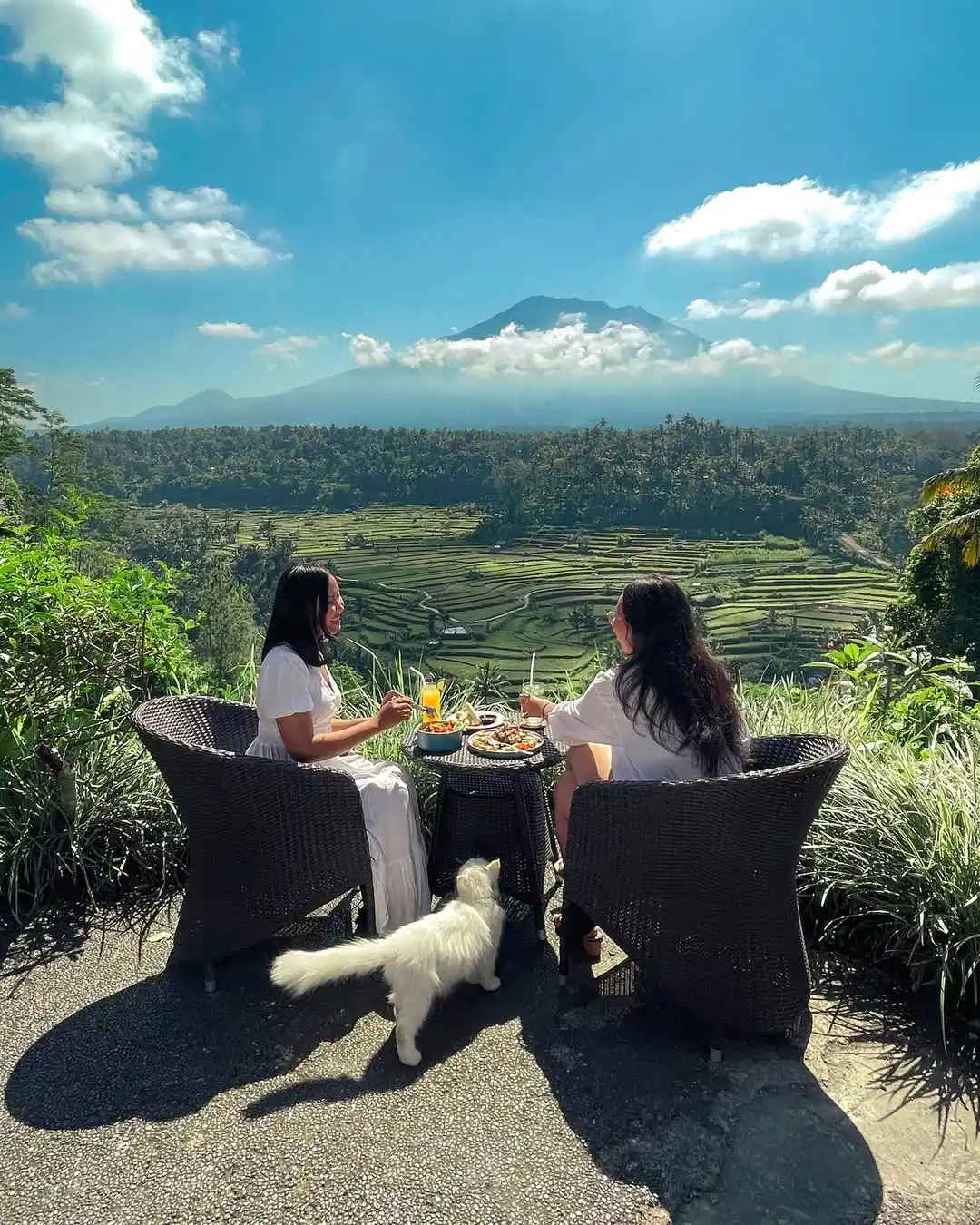Digital Marketing Agency Bali Family Business Digital Marketing Mahagiri Rendang Reaktan Asia Digital